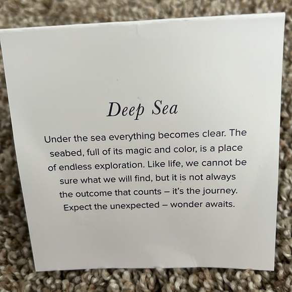 Alex and Ani bracelet - Picture 4 of 4